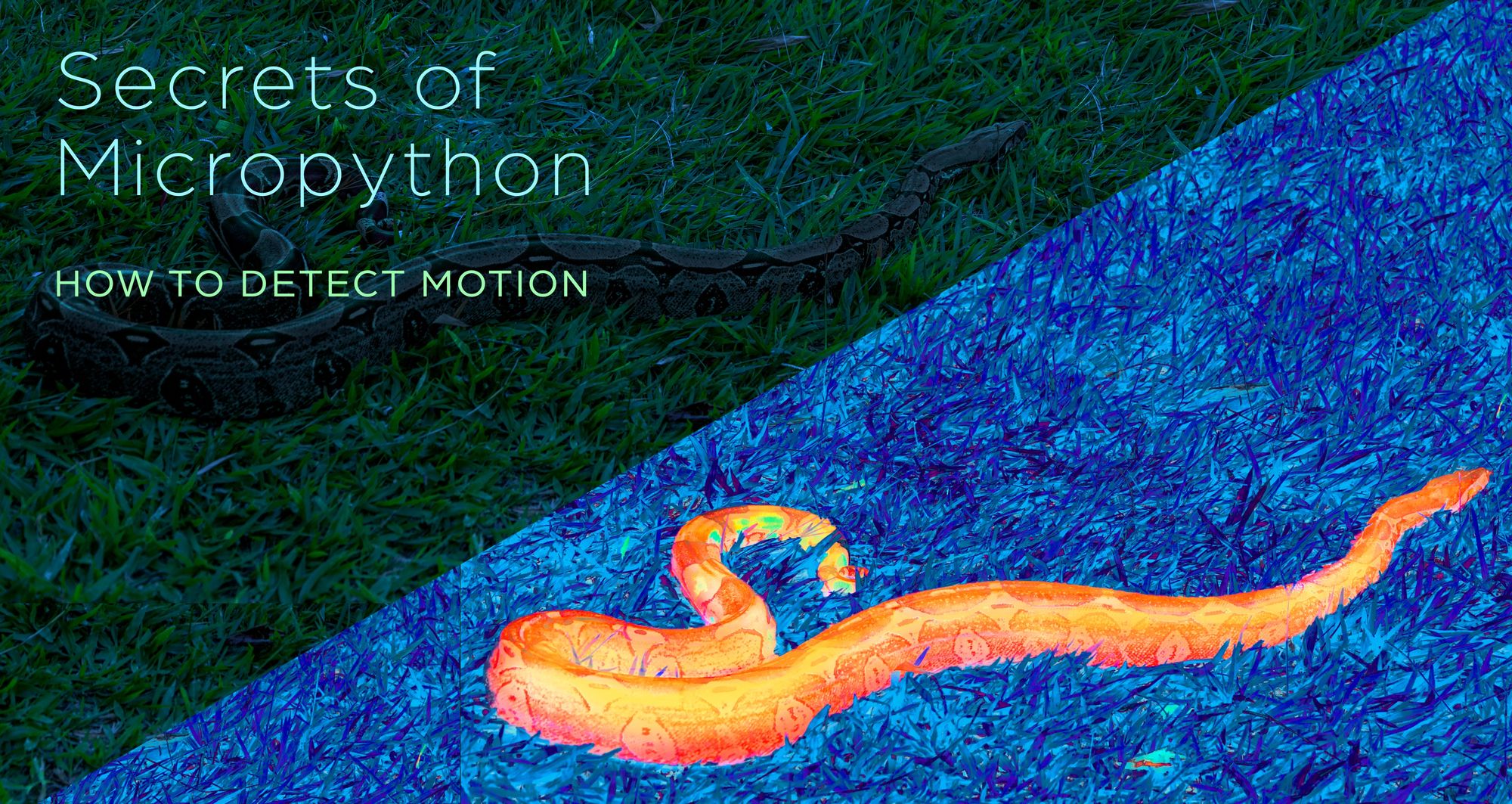 Secrets of MicroPython: How to detect motion