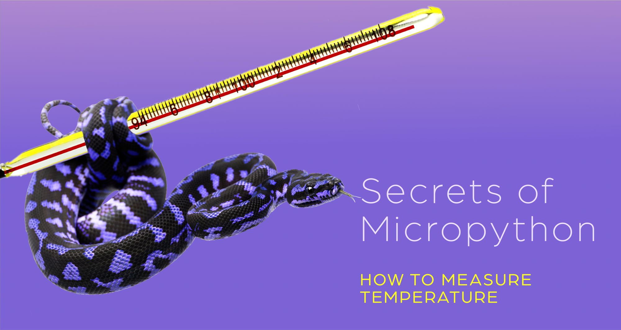 Secrets of MicroPython: How to measure temperature
