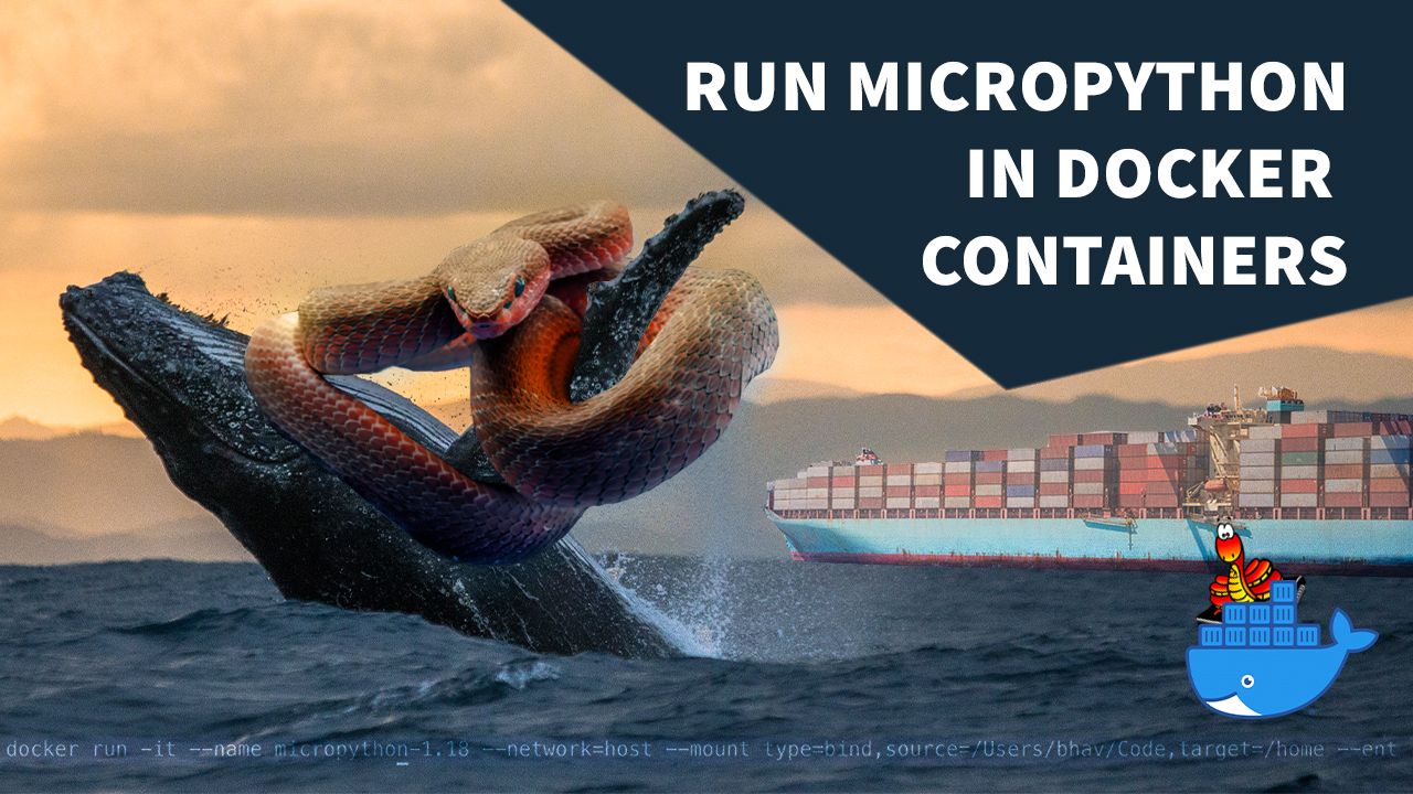 MicroPython in Docker Containers